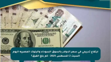 ارتفاع تدريجي في سعر الدولار بالسوق السوداء والبنوك المصرية اليوم السبت 2 أغسطس 2025 – كم بلغ الفرق؟
